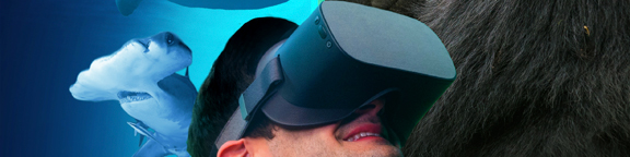 Experiencia inmersiva